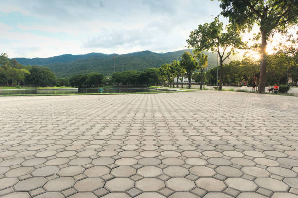 Best Driveway Pavers Near Me  in Damascus, MD